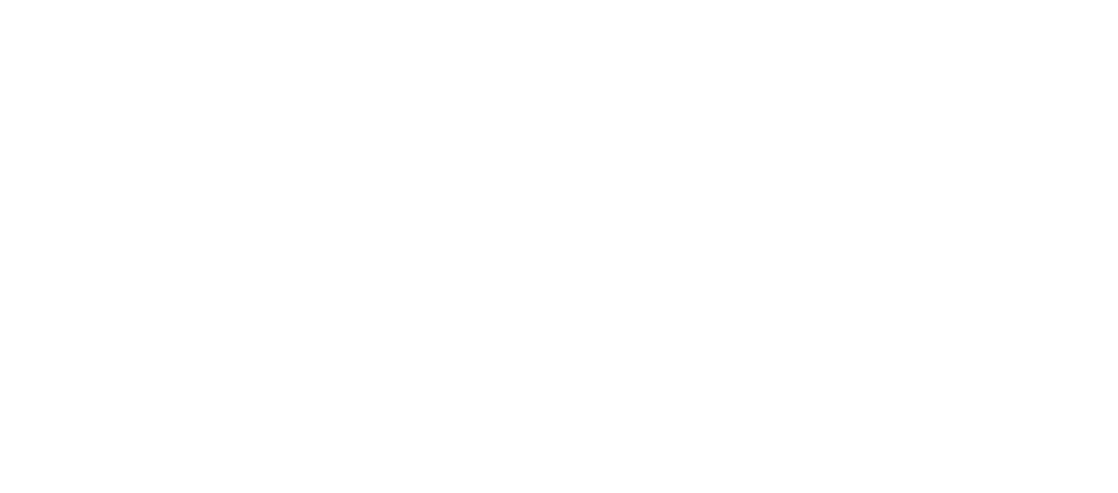 logo centro laser